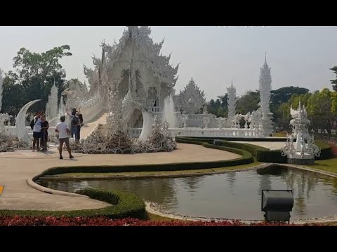 Video: Seni menyembuhkan dengan kata-kata. Proyek seni medis dan sastra Poesia um Santo Remedio