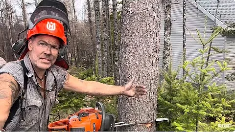 The Last Tree cut in Nova Scotia.