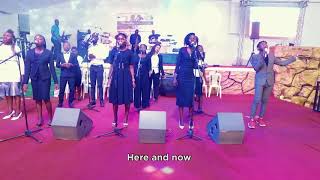 Bravo Lion   Here as in Heaven