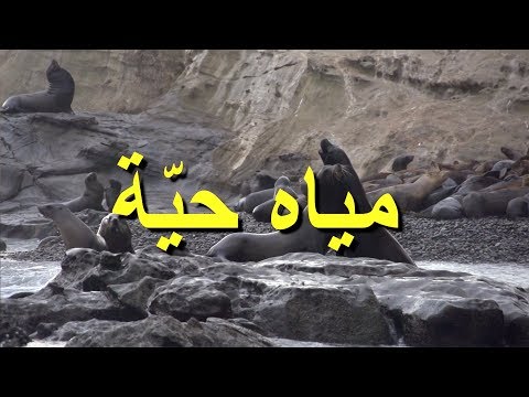 LIVING WATERS Arabic