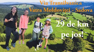 La doar 6 ani pe Via Transilvanica, cum sa descurcat? | Am mâncat la Stână serviți de Ciobani