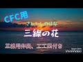三線の花 （BEGIN) 調弦CFC 三線用伴奏　弾き語り用簡単工工四