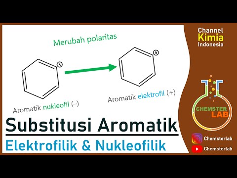Prinsip Dasar Sintesis 4 | Substitusi Aromatik Elektrofilik dan Nukleofilik| Kimia Organik Sintesis