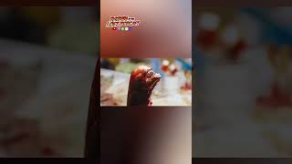 Imagine Being On This Set? . . . . .