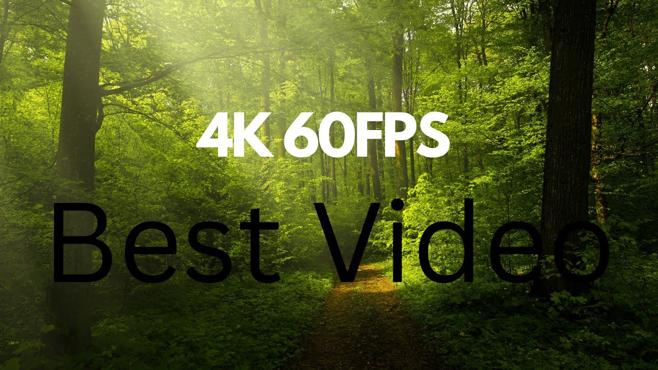 Big Buck Bunny 4K 60fps Official Blender Animation Short Film