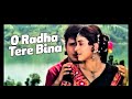 O Radha Tere Bina Radha Ka Sangam Govinda Juhi Chawla Lata Mangeshkar Shabir Kumar HD AUDIO O Radha Tere Bina Radha Ka Sangam Govinda Juhi Chawla Lata Mangeshkar Shabir Kumar HD AUDIO