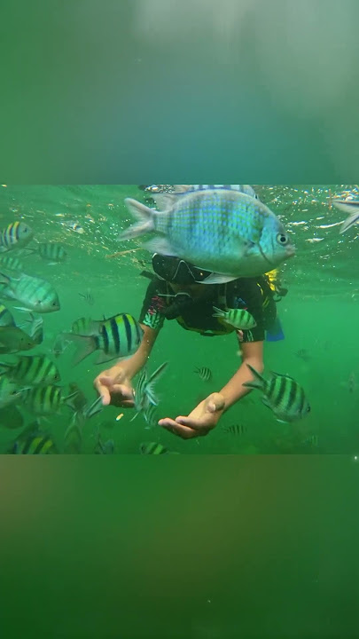 Bintan D3 ending with joy and happiness #bintanisland #travel #officelife