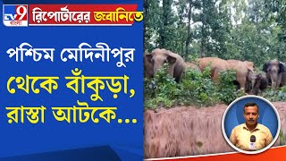 Elephant Attack: পশ্চিম মেদিনীপুর থেকে বাঁকুড়া, রাস্তা আটকে ...