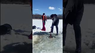Best Amazing  Ice Fising ,🐟 Awesome Rural Fishing , Cast Net Fishing,Catch Eel 🐟#Short screenshot 4