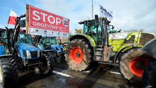 Фермерские митинги гремят по всей Европе. Чехия присоединилась к протестам