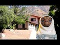 #1163 E.T. The EXTRA-TERRESTRIAL Filming Locations SPIELBERG - Jordan Travel Vlog (10/13/19)