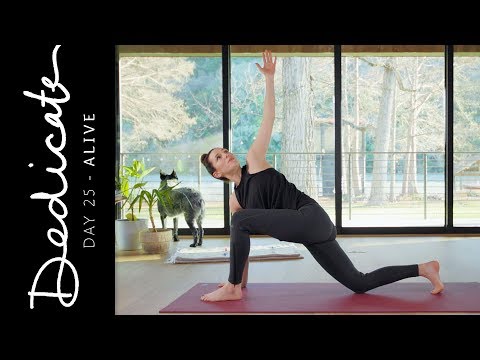 yoga challenge,30 day yoga,30 day yoga challenge,fitness,yoga with adriene 30 days of yoga,30 days of yoga,yoga revolution,yoga for weight loss,new year new you,yoga for beginners,beginners yoga,yoga,yoga at home,free yoga,yoga with adrienne,adriene mishler,online yoga,free yoga videos,dedicate,total body yoga,yoga workout,at home yoga,morning yoga,online yoga class,yoga (sport),30 days of yoga with adriene,yoga with adriene,yoga for confidence