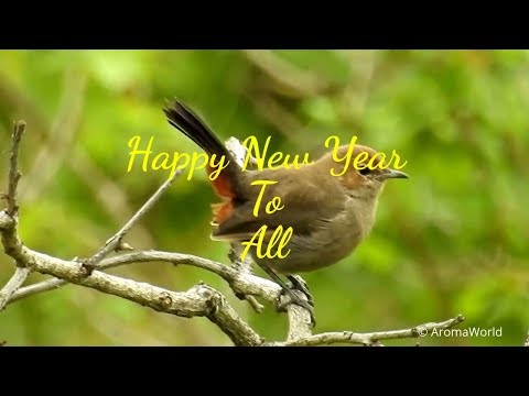 new-year-greetings-&-best-wishes-2020---watch-till-the-end