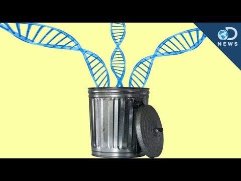 Video: Forskere Har Fundet Ud Af, Hvorfor 