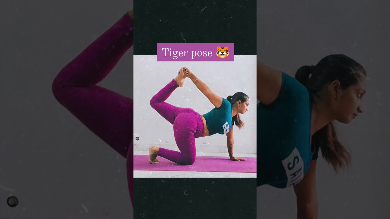 Vyaghrasana (The Tiger Pose) Steps Benefits and Precautions