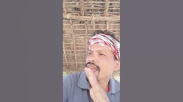 Thumbnail of Hello rani   hi, Rani ko hu thisi🌹🌹video somalpuri song.⚘️⚘️⚘️⚘️