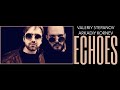 ECHOES – Valeriy Stepanov & Arkadiy Kornev (Disclosure cover)