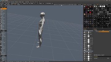 Navigation Rotation Toggle & Reference Image Icon