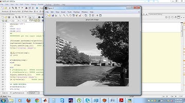 SD IEEE MATLAB Gradient Histogram Estimation and Preservation for Texture Enhanced Image Denoising