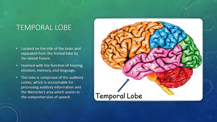 Psychology Final Presentation