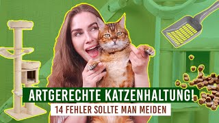 artgerechte Katzenhaltung / Einzelhaltung, Kosten, Kratzbäume, Nassfutter - was braucht eine Katze?