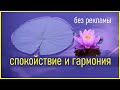 Спокойная музыка для медитации и снятия стресса