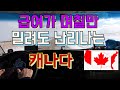 [Diesel Gypsy][Vlog #423] 급여가 3일만 밀려도 난리가나는 캐나다 !!! 캐네디언들의 삶의 패턴 (feat 또 밧데리? ㅋㅋ)