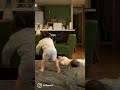 顔面ダイブ😂😂 #Shorts funny dive🤣👶✨