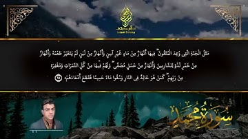 سورة محمد من الآية ١٢ الى ١٥ القارئ اسلام صبحي