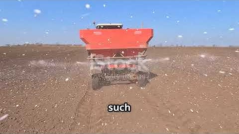Too Much Lime? Your Soil Might Be Suffering