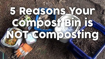 5 Reasons Your Compost Bin is Not Composting