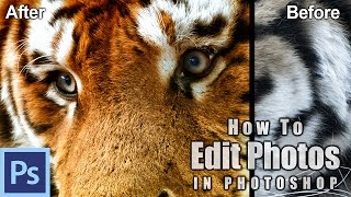 How to Use Photoshop to Edit Animals - Example: The Tigers of Ireland | Photoshop Tutorial How to Use Photoshop to Edit Animals - Example: The Tigers of Ireland | Photoshop Tutorial