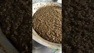 Plant Based Pinay X Mothergoodsdailydose