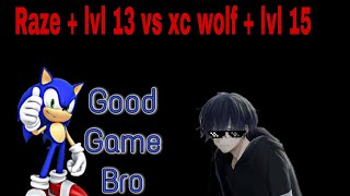 Raze Vs XC Wolf with some interupters // pgb3d // pixel grand battle 3d screenshot 3