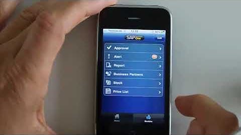SAP Business One Mobile App for iPhone