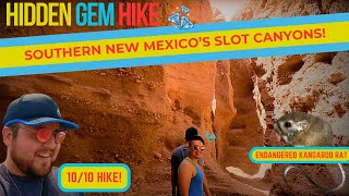 The BEST Hidden Hike in the Southwest!? Warped Slot Canyons in Southern New Mexico!