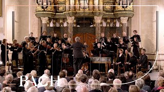 Bach - Cantata Wir müssen durch viel Trübsal... BWV 146 - Van Veldhoven | Netherlands Bach Society