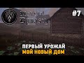 Medieval Dynasty #7 Первый урожай, Мой новый дом