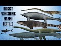10 Biggest Sea Dinosaurs | Prehistoric Marine Reptiles