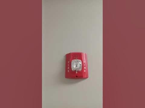 System Sensor Spectralert Advanced P2R at Goodwill, Lemont, IL - YouTube