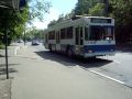 московский автобус и московские троллейбусы