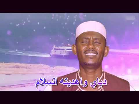 المكاوي كرم الدين محمد