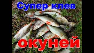 Рыбалка. Ловля окуня на спиннинг с лодки. Hs,fkrf. Kjdkz jreyz yf cgbyybyu c kjlrb