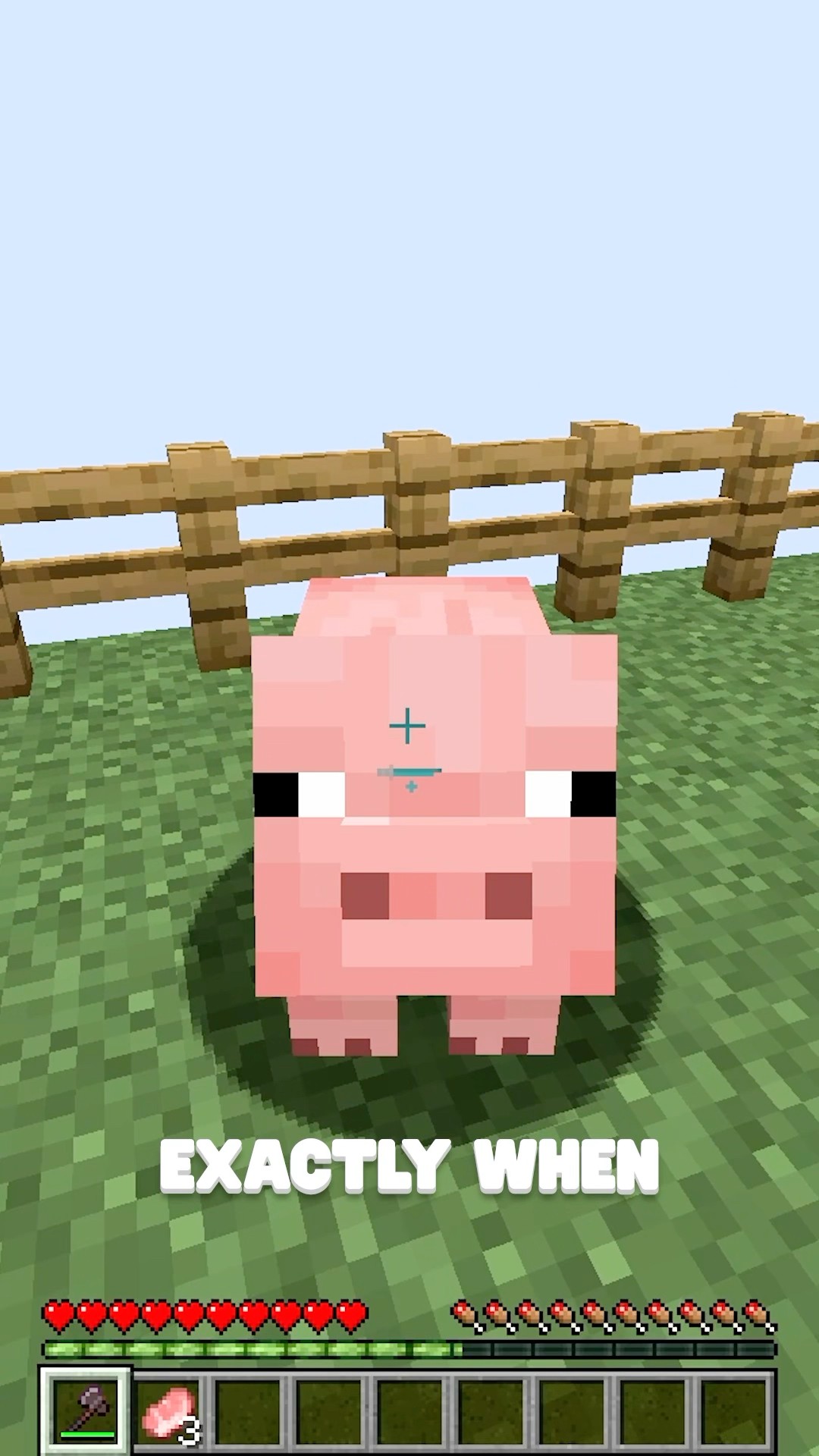 Minecraft Morph Guess Who