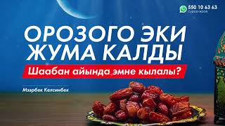 Орозого киргенче бул эки нерсени билип алыңыз!