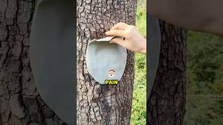 His Flower Was Used For Pain Long Before Pills  