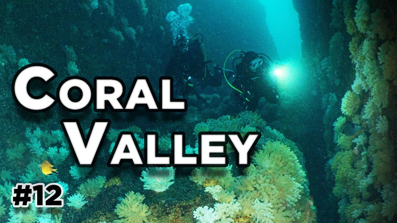 Coral Valley