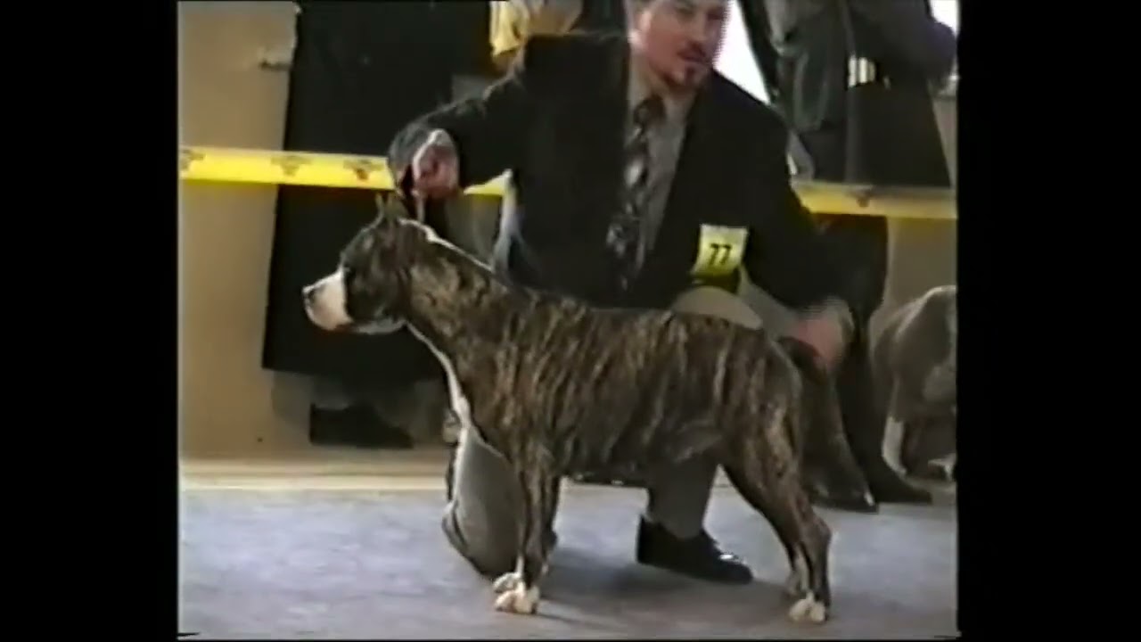 Фрагмент выставки 1999 (финал)