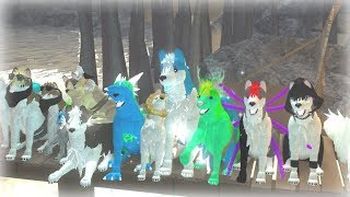 All Wolves In Wolves Life 2 Robux And Gems Wolves Roblox Ft Kkingdark Youtube - roblox wolves life 2 all flowers