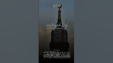 د.عاصم بن محمد اللحيدان #جامع_العواد #عاصم_اللحيدان #shortvideo #قران #تلاوه #تيك_توك #تلاوات